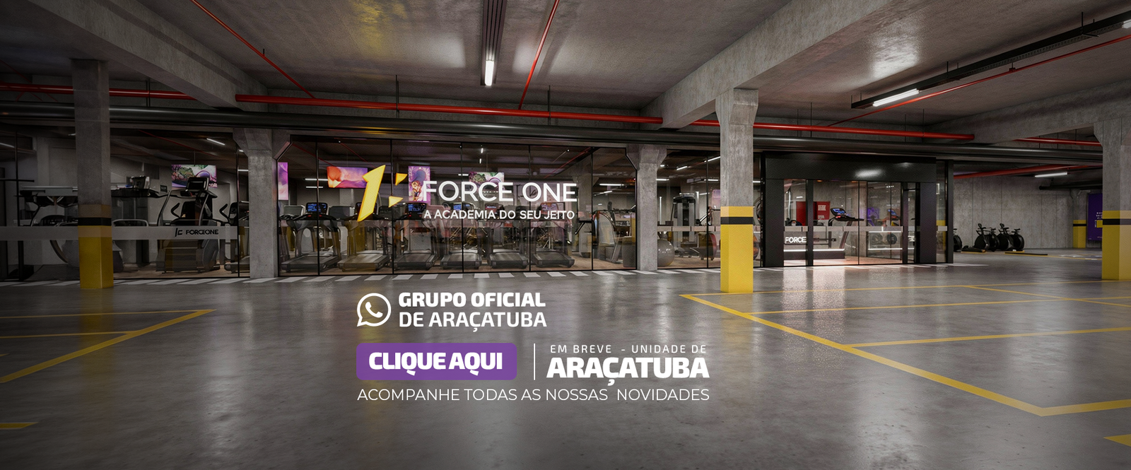 Banner Whats de Araçatuba