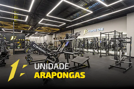 ARAPONGAS